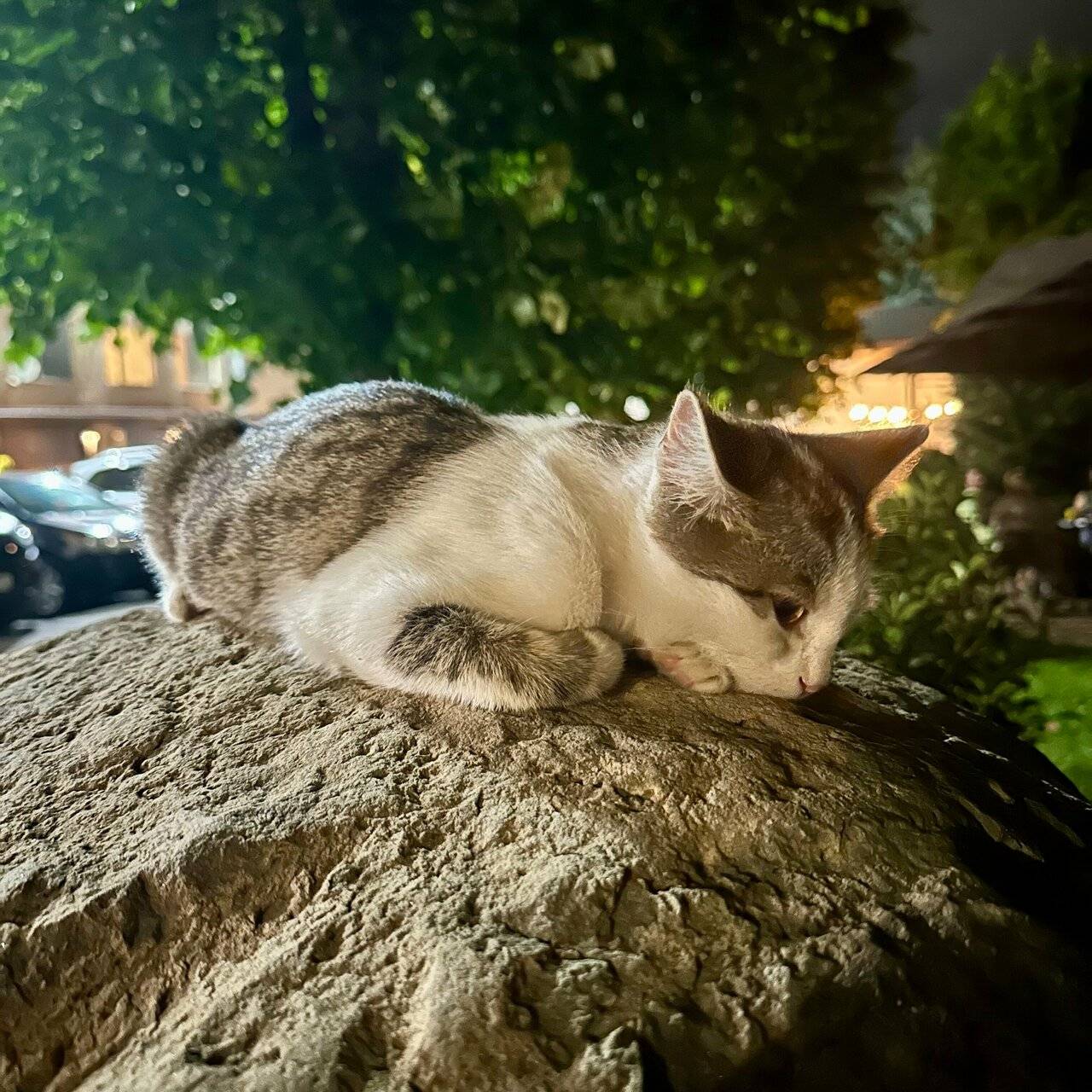 Фото Гостиницы Корона Нальчик 84