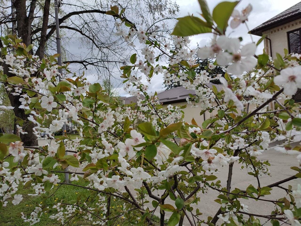 Фото Гостиницы Корона Нальчик 94